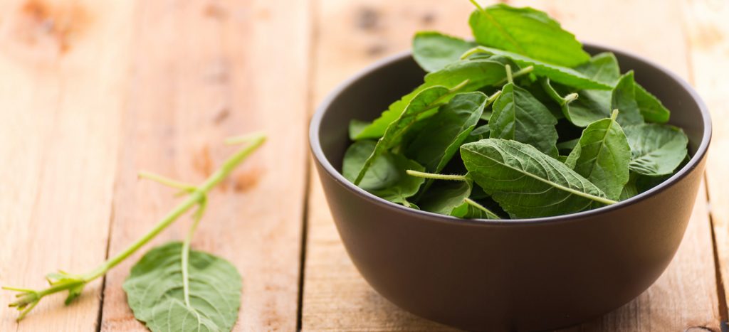 tulsi benefits for skin