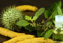 Discover The Goodness of Tulsi and Turmeric for Your Skin Goodness of Tulsi and Turmeric for Your Skin