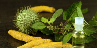 How to use tulsi (basil) to get clear Skin. Goodness of Tulsi and Turmeric for Your Skin