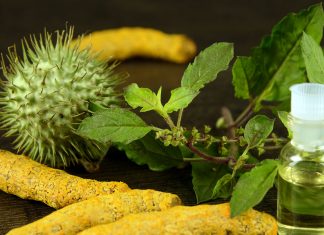 How to use tulsi (basil) to get clear Skin. Goodness of Tulsi and Turmeric for Your Skin