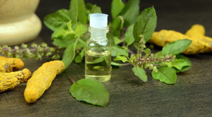 8 Incredible Benefits of Tulsi & Turmeric And How to Use Them in Your Daily Skincare Routine Benefits of Tulsi & Turmeric