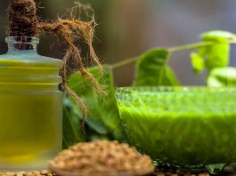 Neem - Skincare Ingredient