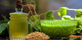 Neem: The Celebrity-Approved Skincare Ingredient Neem - Skincare Ingredient