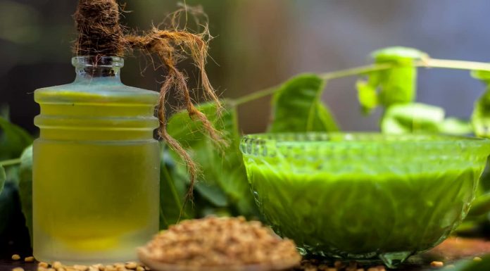 Neem: The Celebrity-Approved Skincare Ingredient Neem - Skincare Ingredient