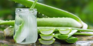 Make Aloe-Vera Your Ally to Fight Zits Aloe Vera Gel for Face