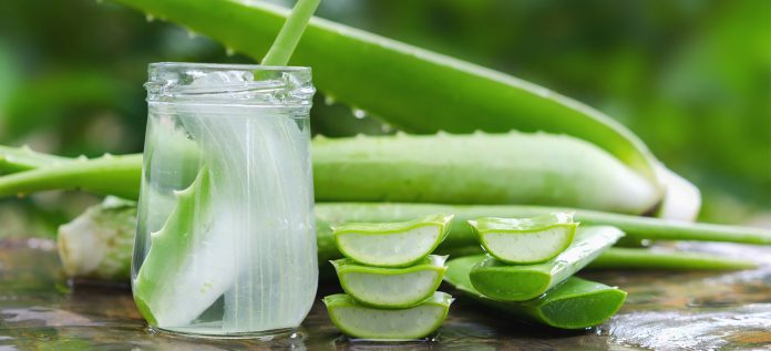 Aloe Vera Gel for Face