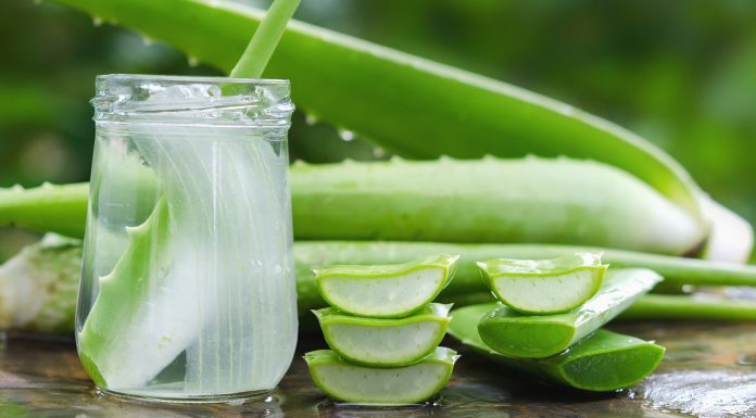 Make Aloe-Vera Your Ally to Fight Zits Aloe Vera Gel for Face