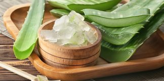 What Makes Aloe Vera Gel A Must-Have In Your Vanity? Aloe-Vera