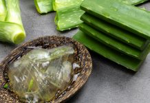 The Magic of Aloe Vera Gel In The Winters