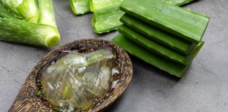 The Magic of Aloe Vera Gel In The Winters