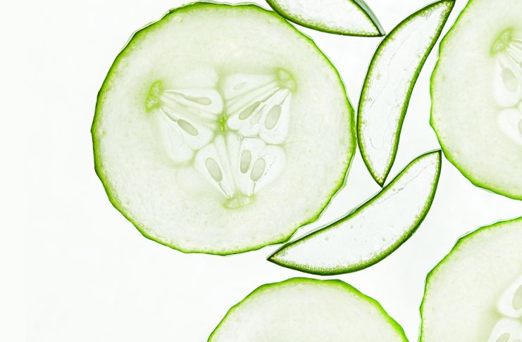 Why Cucumber & Aloe Vera Are You r Skin’s Best Friend